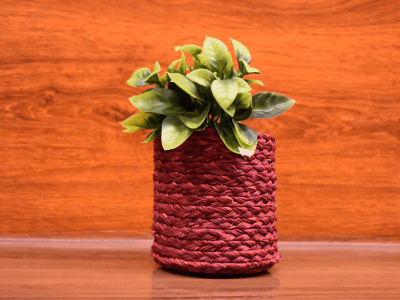 plant craft